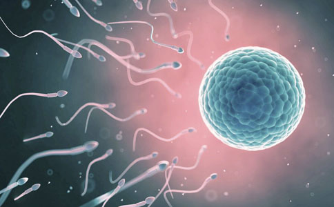 ���ݴ���