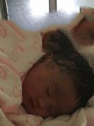 ��ϲ����������ϲ��һ��' /></a></div>
		<div class=