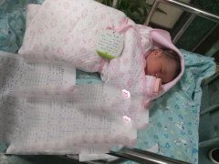 �㶫Z��������С��˳������