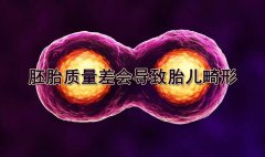 �Թ�Ӥ������̥������ᵼ��̥��������' /></a></div>
		<div class=